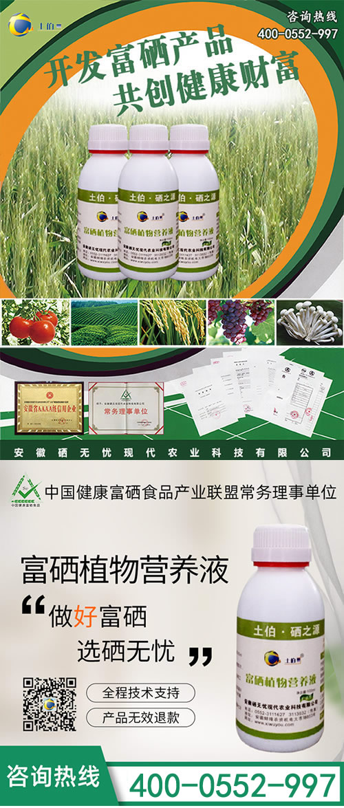 小麥富硒肥,富硒小麥 小麥富硒肥,富硒小麥